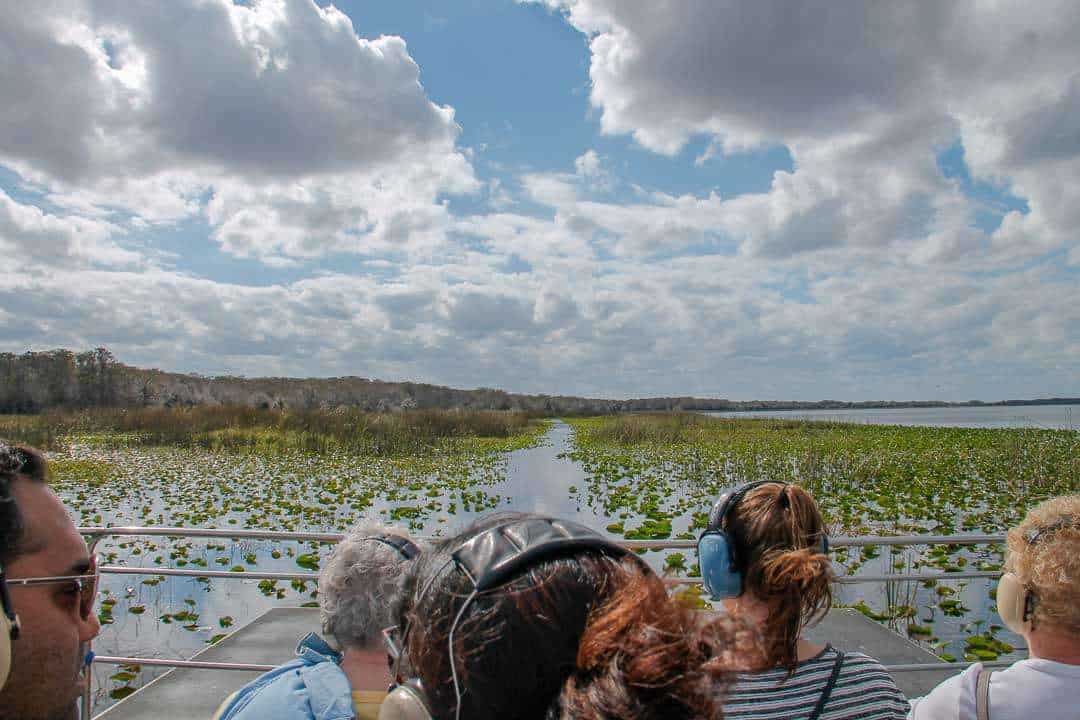 Wild Florida Airboats & Wildlife Park view of wetlands through the airboat