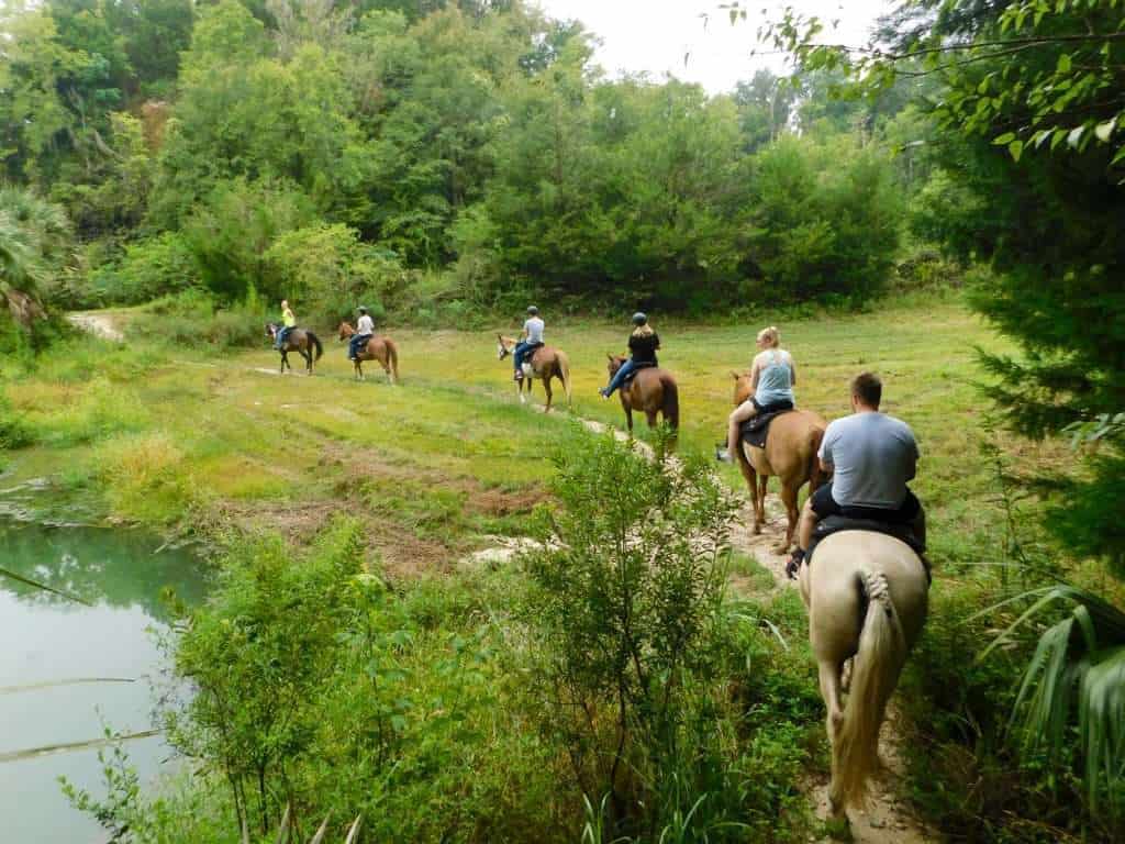 people riding horses on a trail
