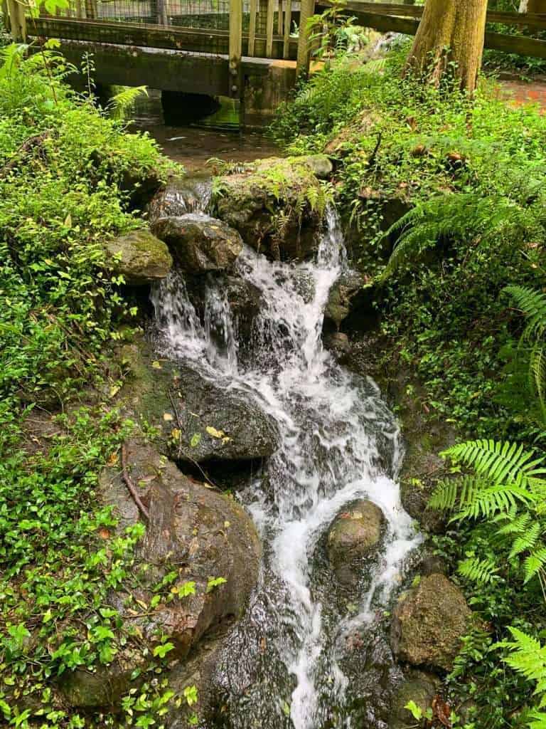 One of the man made waterfalls at Rainbow Springs
