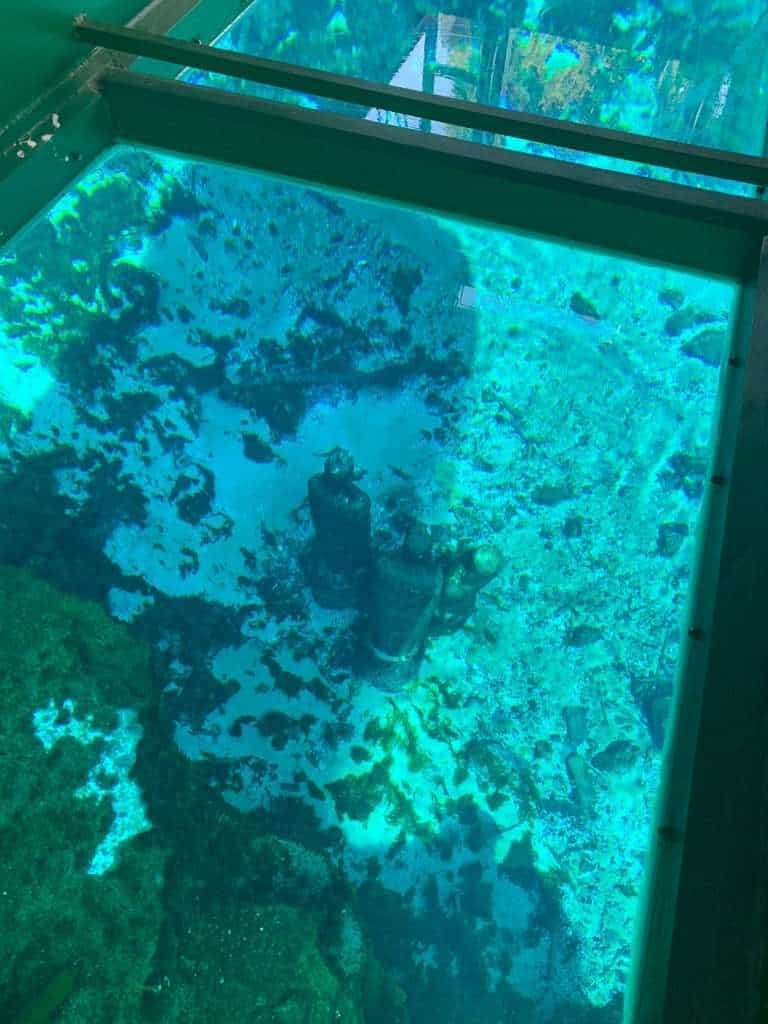 picture of statues in Silver River through a glass bottom boat
