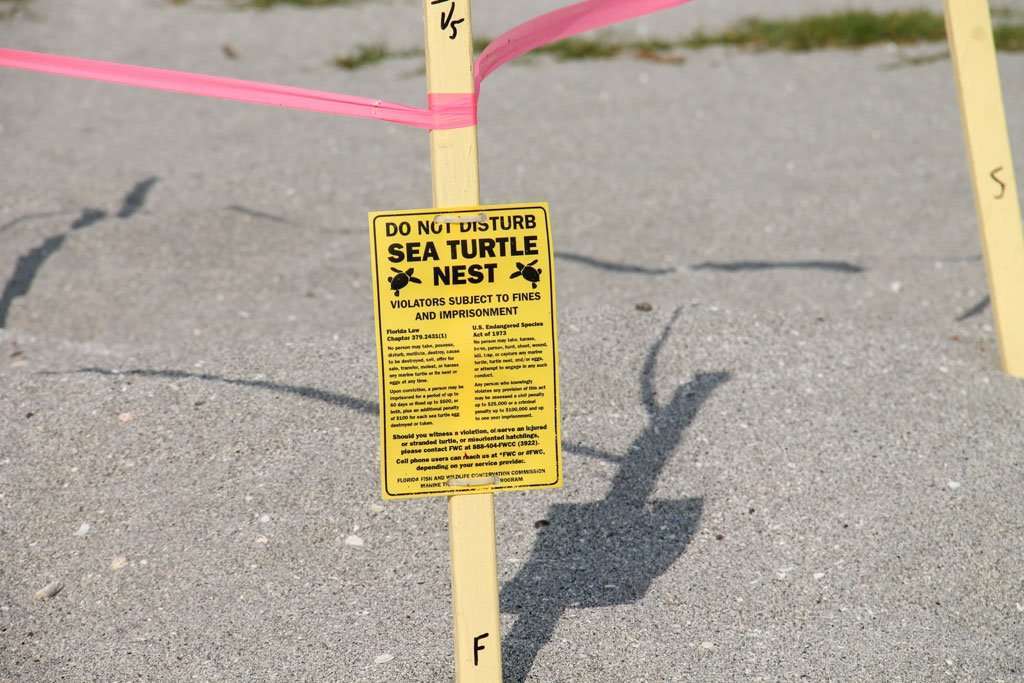 facts about florida beaches 3 If you're planning a trip to the Florida beaches, there are a few things you need to know before you go. The fact that Florida is a peninsula and nearly surrounded by water means we have plenty of beaches. They are as varied a the state itself. However, these things remain the same no matter where you go in the state.