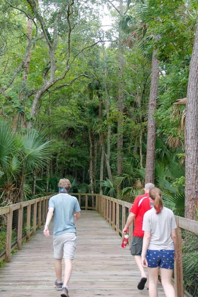 Walking through the Central Florida Zoo