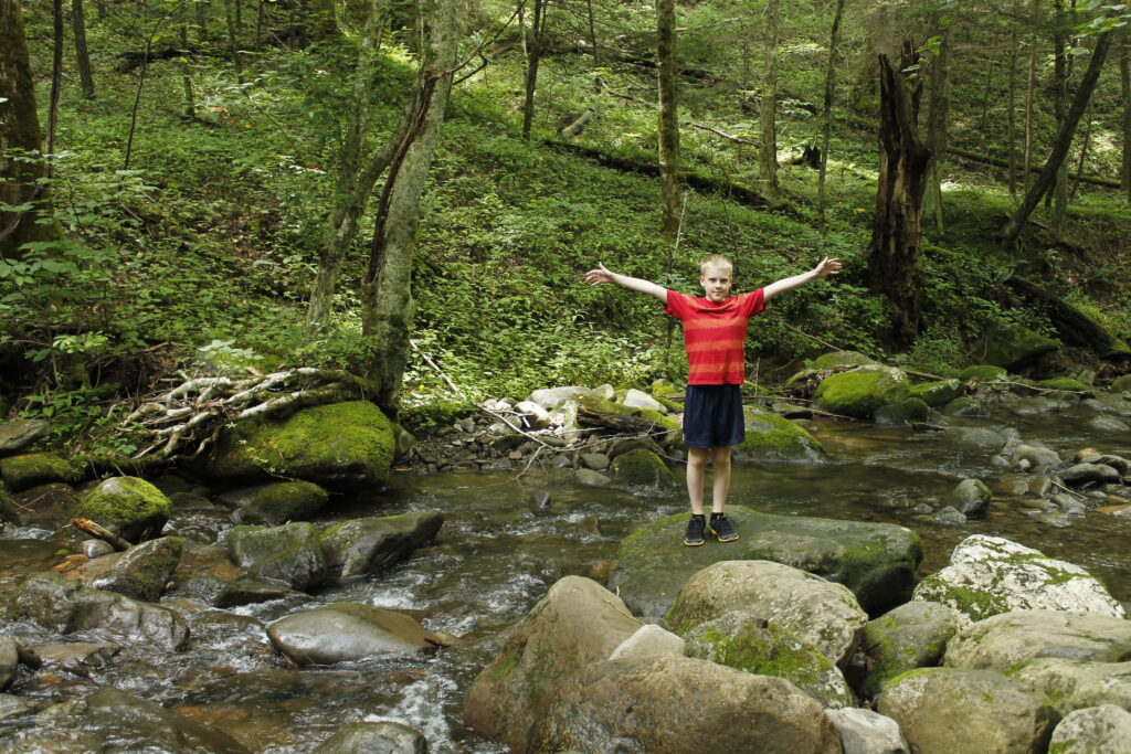 A child in a red shirt and blue shorts stands on a large rock in the middle of a shallow, rocky stream. With arms outstretched, the child is surrounded by a lush green forest with moss-covered rocks. Sunlight filters through the trees, making it one of those serene places to visit in the fall.