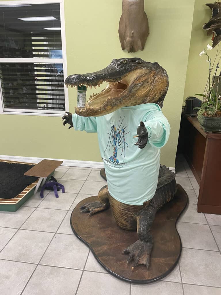Everglades seasoning shirt and Everglades Seasoning spices in its jaw. things to do in Sebring Fl