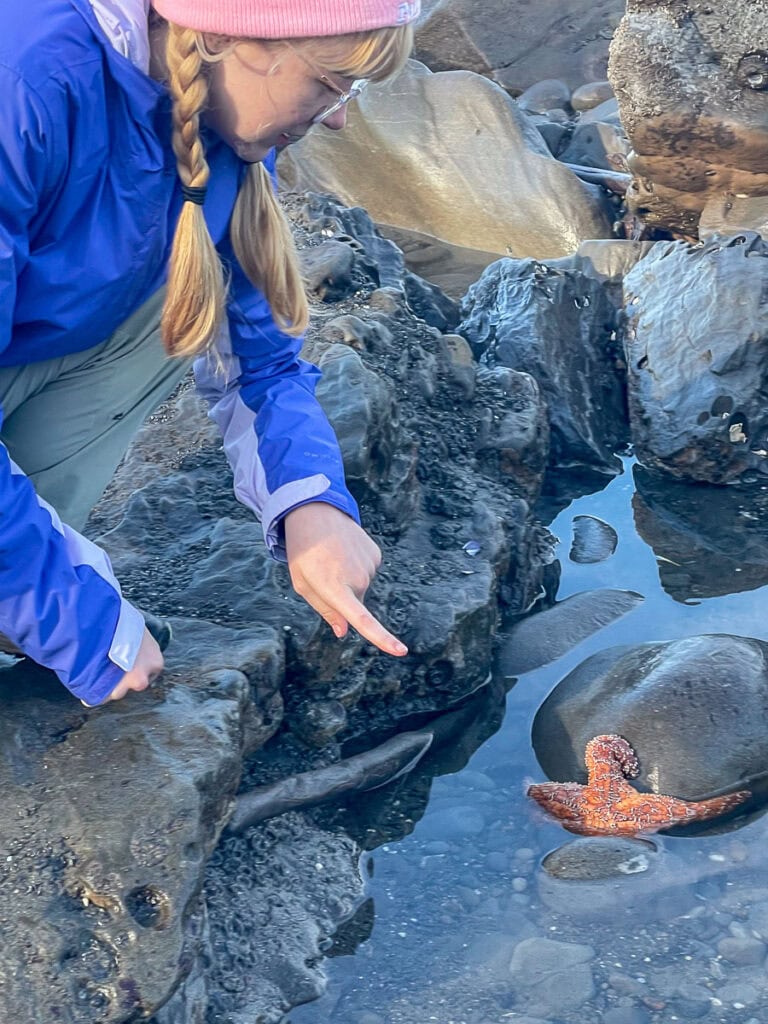 Amidst rocky textures in one of the best national parks for teens, a person in a pink beanie and blue jacket leans over rocks at a tide pool, pointing at a starfish nestled in the clear blue water.