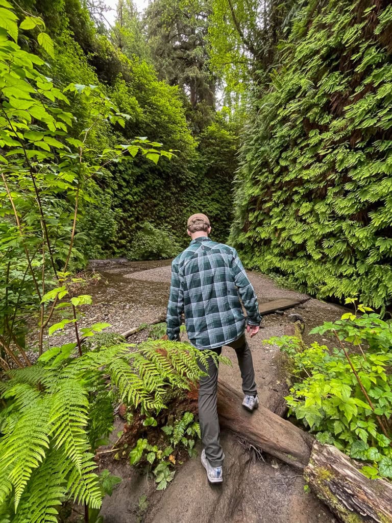 A person in a plaid shirt and cap wanders through a lush, green forest, much like those found in the best national parks for teens. Surrounded by tall foliage, they step over fallen logs on a dirt path. The scene is tranquil and vibrant with vegetation.