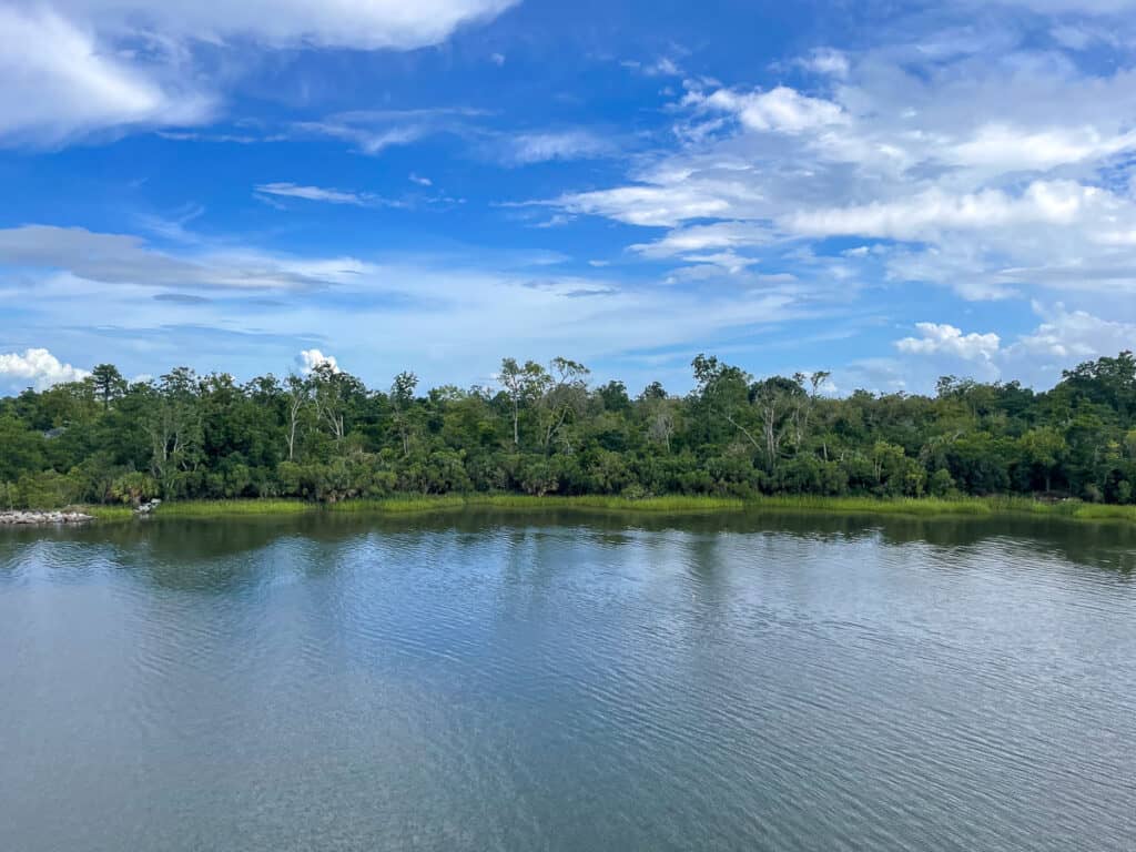 Savannah Boat Tours - view of water, with trees and blue skie.