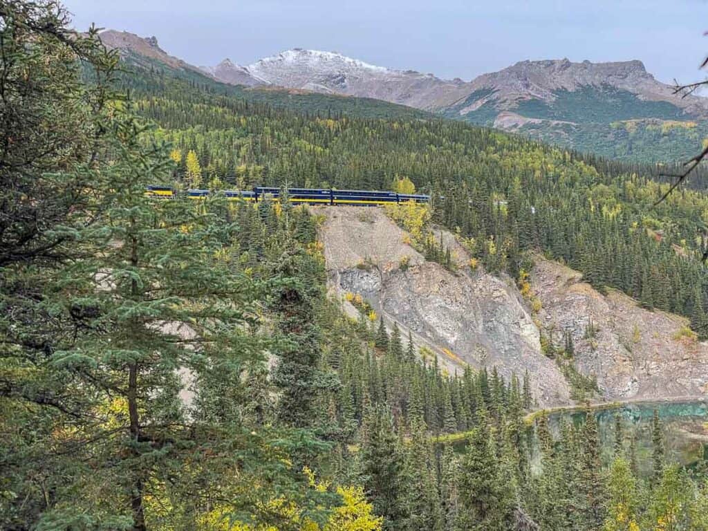 Alaska Railroad in the distance of a mountain with tall pines everywhere.