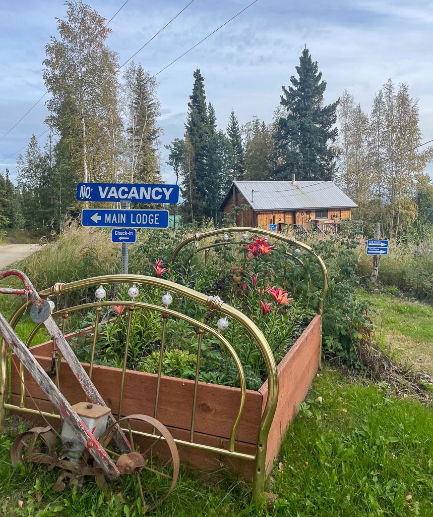 Nestled among towering trees, this rustic lodge boasts a charming "No Vacancy" sign directing visitors to the main building. In the foreground, a bed frame overflows with vibrant red flowers, complemented by an old plow. Perfect for those exploring hotels in Fairbanks, Alaska to witness the Northern Lights.