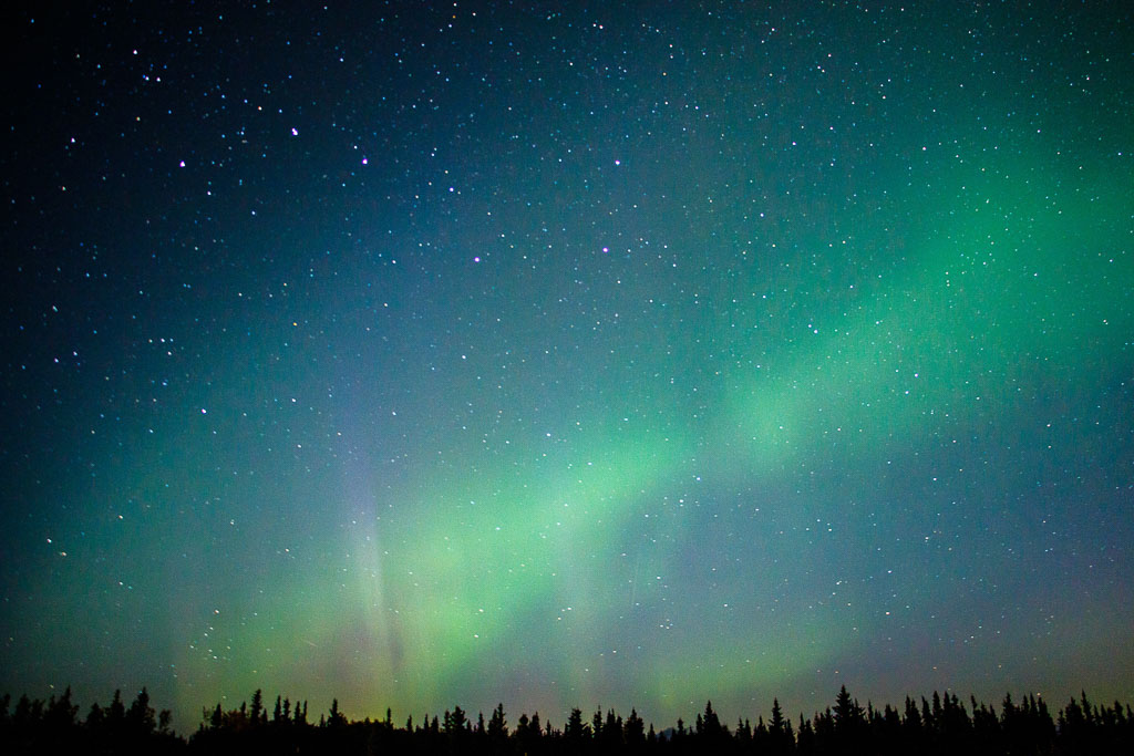 A night sky filled with stars and vibrant green and faint purple aurora borealis lights. The silhouette of a forest with tall trees is visible at the bottom of the image.