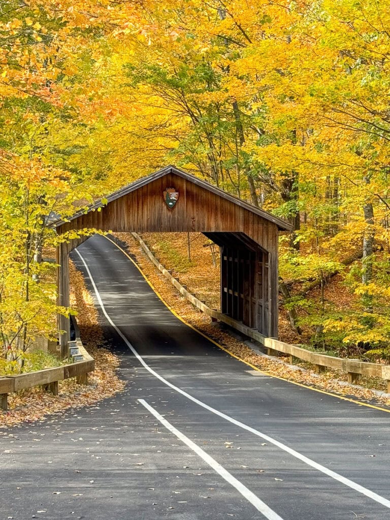 A wooden covered bridge surrounded by vibrant autumn trees with yellow and orange leaves. The road leads through the bridge, making it a scenic stop for things to do in Michigan with teens, framed by guardrails and dappled with fallen leaves.