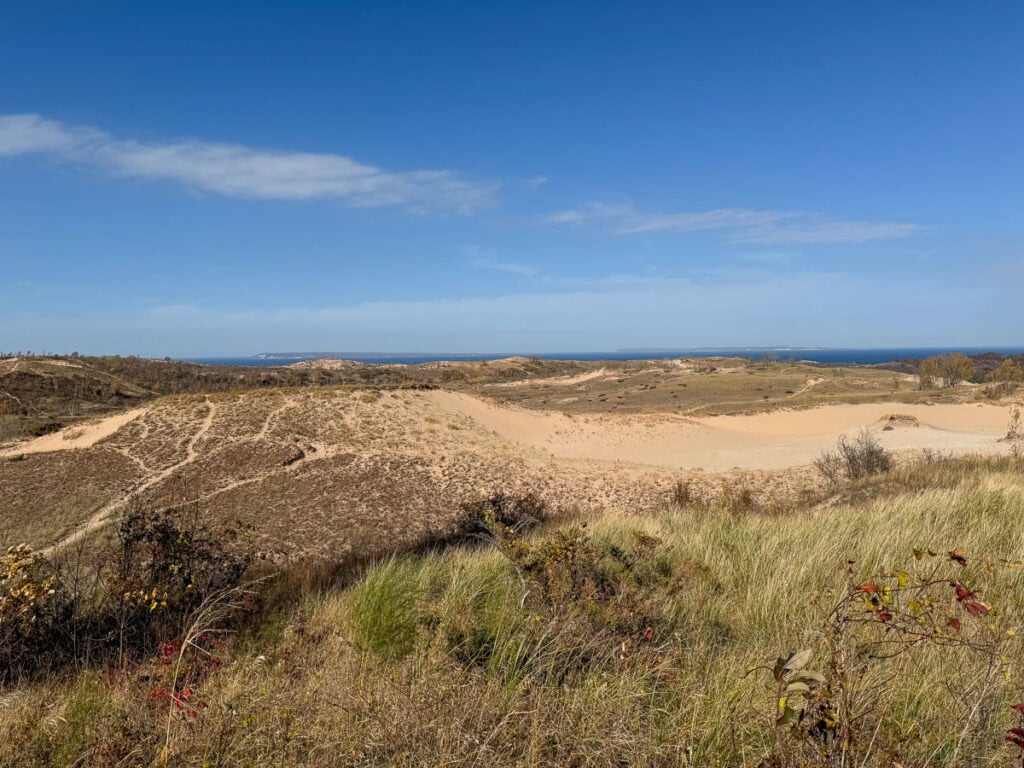 Sandy dunes stretch across a coastal landscape under a clear blue sky, offering one of the best things to do in Michigan with teens—exploring patches of dry grass and sparse vegetation, with the sea visible in the distance.