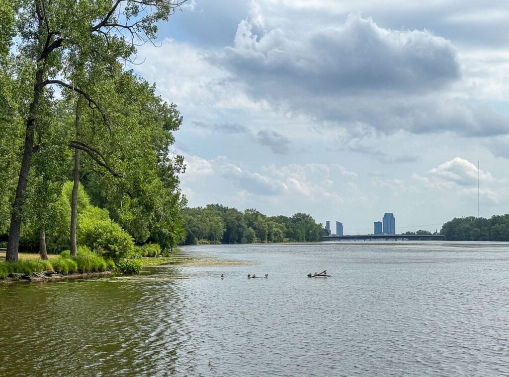 A calm river bordered by lush green trees under a cloudy sky, with a few ducks swimming near the shore and distant city buildings on the horizon captures why exploring during the Best Time to Visit Grand Rapids is truly memorable.