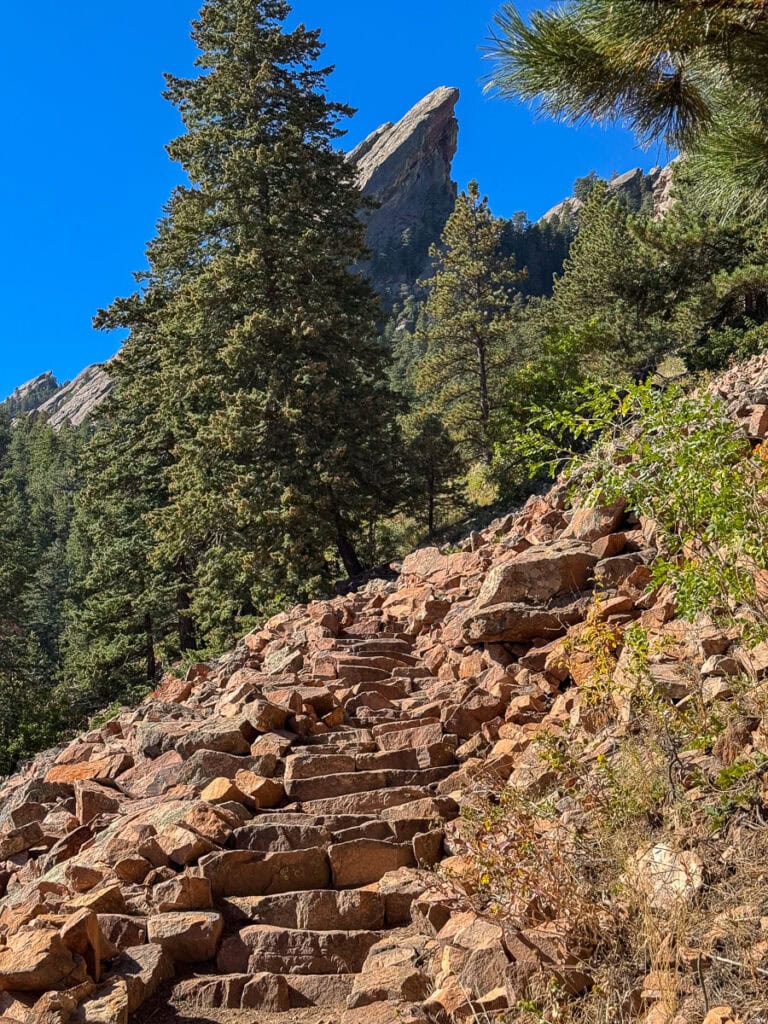 Stone steps lead up a rocky trail surrounded by pine trees, with a distinctive flat-topped rock formation in the background—a scene that makes you wonder, is AllTrails Plus worth it for exploring gems like this?.