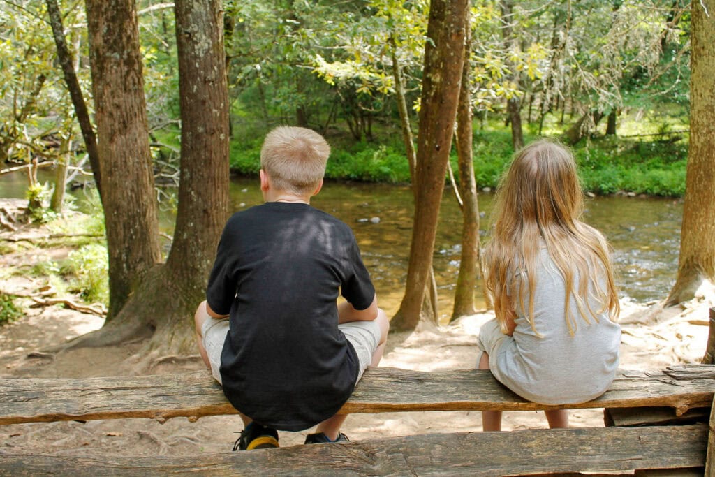 Two children, a boy and a girl, sit on a wooden fence facing a forest stream—an idyllic scene for cozy cabin trip ideas, with sunlight filtering through tall trees and lush greenery all around.