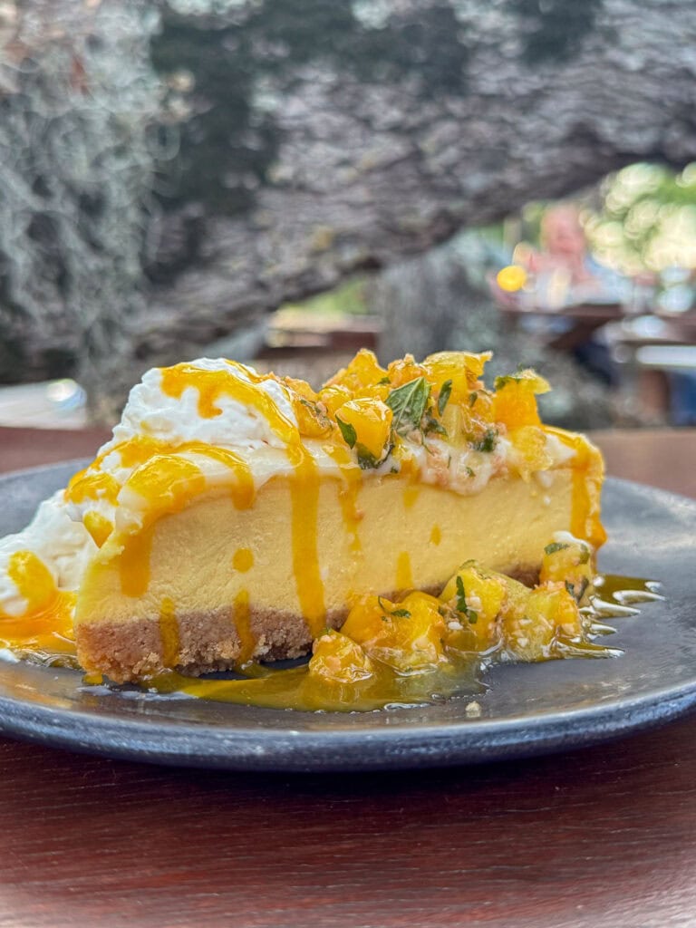 A slice of cheesecake topped with whipped cream and mango sauce, garnished with diced mango and herbs, sits on a dark plate with a blurred outdoor background—a perfect sweet treat to savor during your New Smyrna Beach itinerary.
