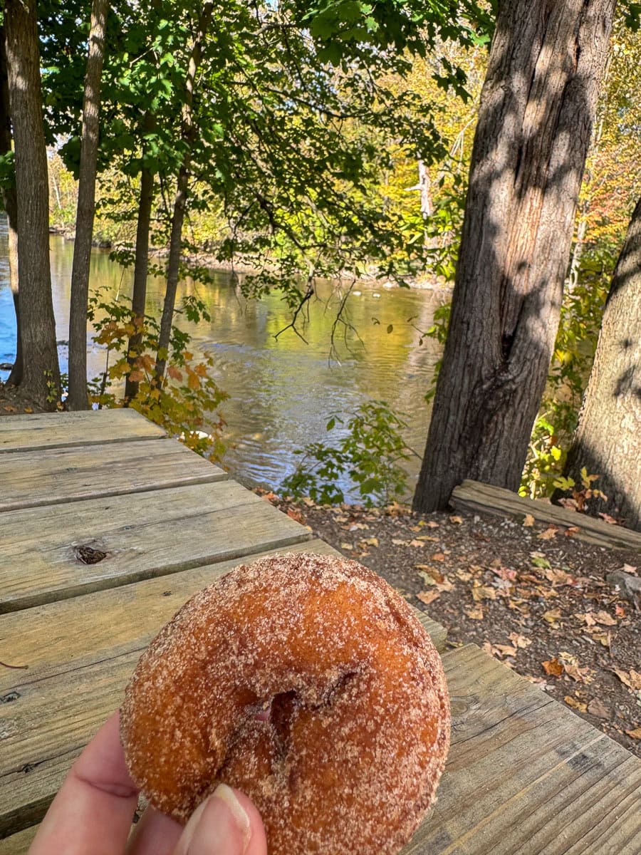 A hand holds a sugar-coated donut over a wooden picnic table near a river, surrounded by trees with green and autumn leaves—a perfect snapshot of Fall things to do in the Ann Arbor area.