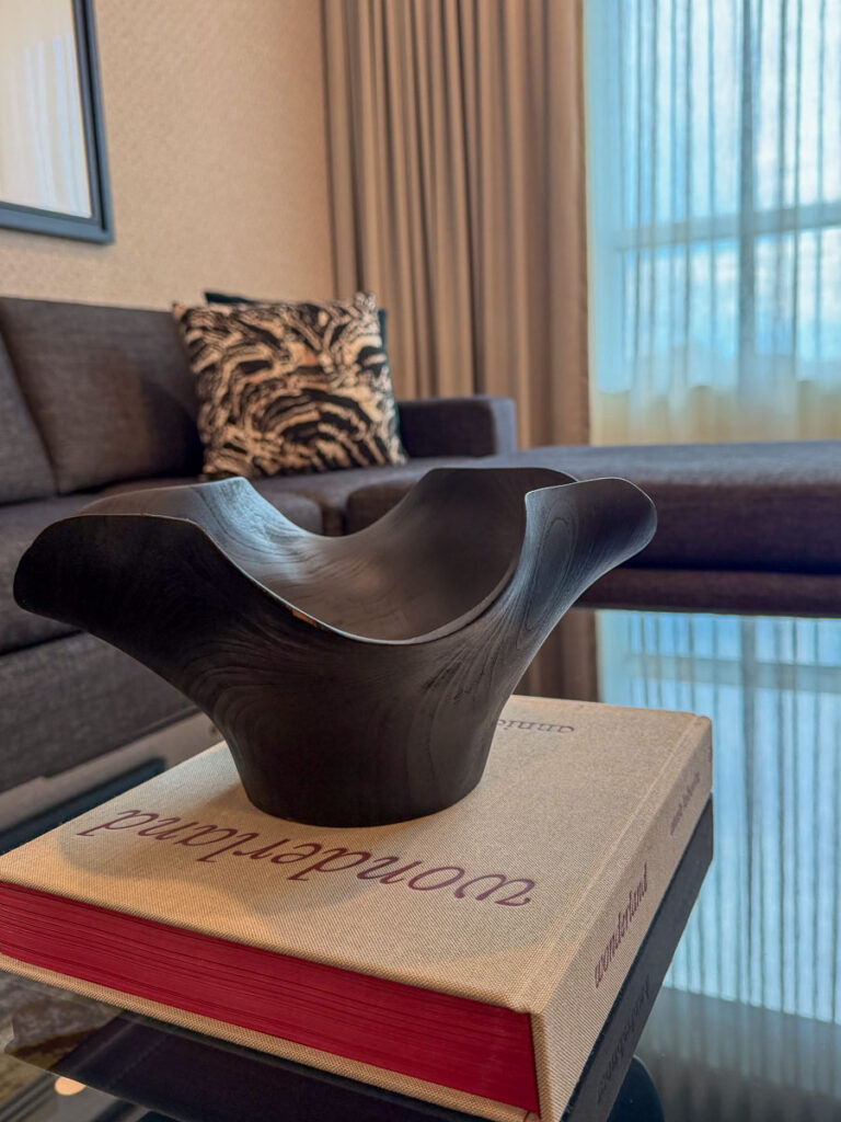 A modern living room designed for relaxation after a multigenerational trip to Ann Arbor, featuring a dark wood bowl on a book titled “Wonderland” atop a glass table, a patterned pillow on a dark sofa, and sunlight streaming through sheer curtains in the background.